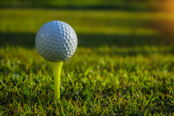 Golf ball on tee ready to play.Golf ball on a green lawn in a beautiful golf course with morning sunshine