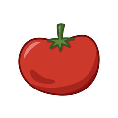 Color Tomato Fresh Vegetables Vectors Illustration