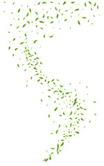 Swamp Foliage Motion Vector White Background