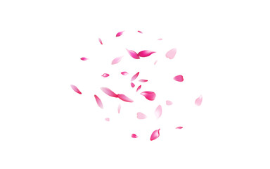 Purple Peach Petal Vector White Background.