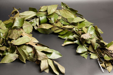Wreath of laurel leaves on black background Dried laurel leaf seasoning