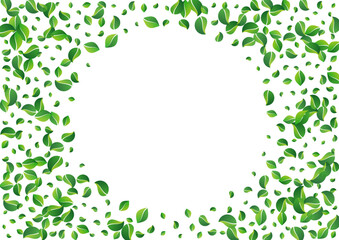 Swamp Foliage Motion Vector White Background. Fly