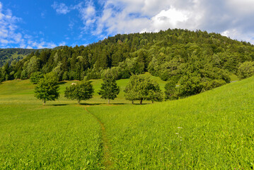 Obraz premium Gemeinde Nüziders Ortsteil Laz (Vorarlberg, Österreich)
