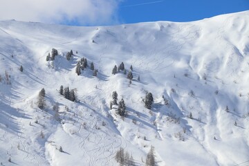 Off piste skiing in Austria