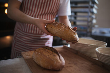 Close-up of baker with fresh bread in bakery.