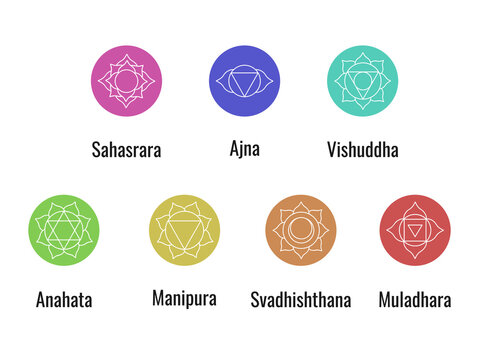 Set of chakras, 7 yoga chakras, vector Illustration	
