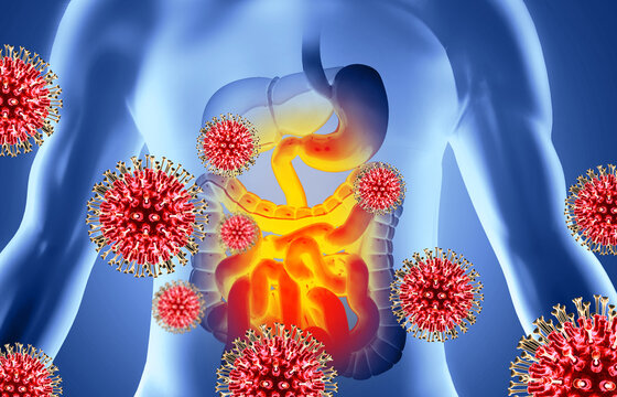 Analkanal Bilder Durchsuchen 19,431 Archivfotos, und