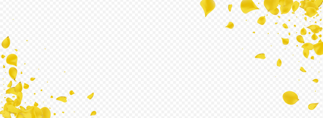 Mustard Rose Spring Vector Panoramic Transparent