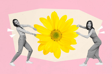 Composite collage image of two excited black white effect girls pull big sunflower isolated on drawing background