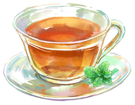 ミントを添えた透き通る紅茶のティーカップの水彩イラスト