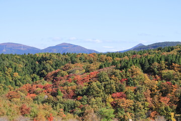 秋の山