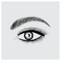 illustration of a female eye