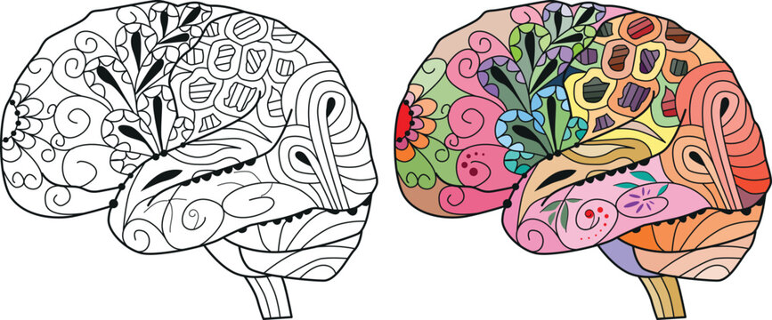 Brain image in zentangle style for coloring. Color and outline set