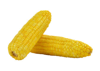 Sweet corn  on  transparent png