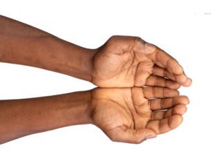 Empty hands making holding or protecting gesture, isolated on white or transparent background