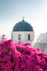 Typical Santorini view of blue dome church with bougainvillea flowers