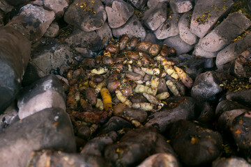 Variety of Peruvian potatoes. In the pachamanca ceremony, lamb, alpaca, pork and beef are cooked. Also variety of tubers and vegetables. All under hot stones and covered with earth.
