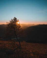 Sunrise autumn landscape in the mountain. Beautiful view with tree on foreground