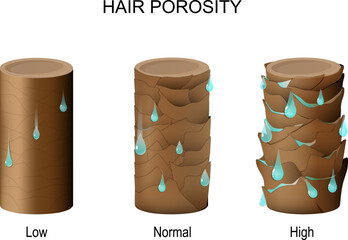 hair porosity. Part of hair with water drops.