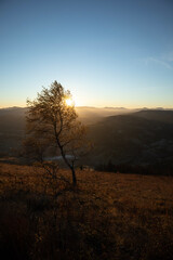 Sunrise autumn landscape in the mountain. Beautiful view with tree on foreground