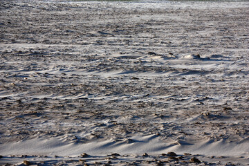 Winter sunny day. On the frozen field the first snow dropped out. Strong wind on roughnesses of the soil created small snow barkhans.