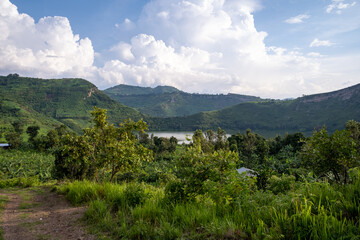 Fototapeta na wymiar Green landscape in Uganda, Africa
