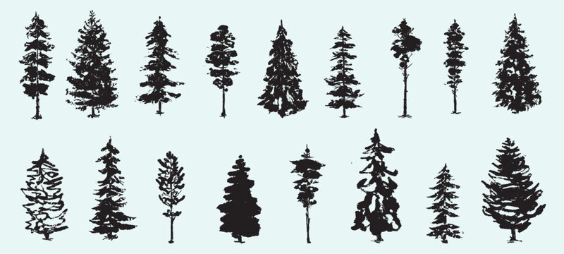 Christmas trees. Fir trees. Textured ink brush drawing. Vector illustration