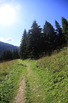Hiking in Belianske Tatry, summer sunny day