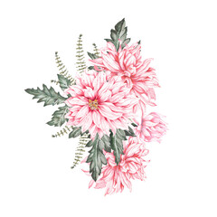 Illustration of composition of bouquets chrysanthemum painted in watercolor.Painting of red blooming flowers isolated on a white background.