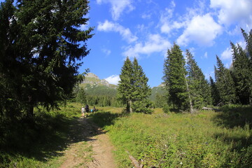 Tatra mountains in the summer, Bielskie tatry