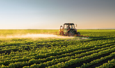 Tractor spraying soybean crops field - obrazy, fototapety, plakaty