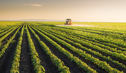 Tractor spraying soybean crops field