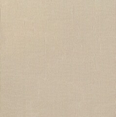 undyed cotton  fabric texture background
