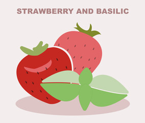 Strawberry and Basilic Illustration set, vector