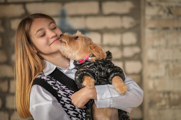 Portrait of a young beautiful fair-haired girl with a Yorkshire terrier in her arms.