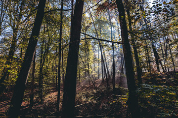 Obraz premium Herbststimmung im Zabergäu