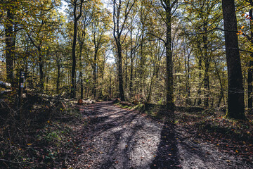 Obraz premium Herbststimmung im Zabergäu