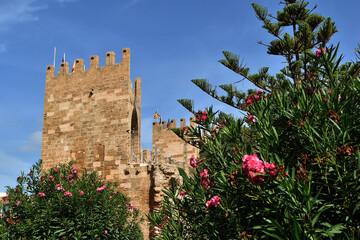 Stadtmauer und Stadtt&uuml;rme von Alcudia auf Malorca