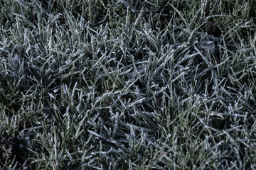 ground frost has settled on this grass outside as the undeniable signs of winter bring change to the environment