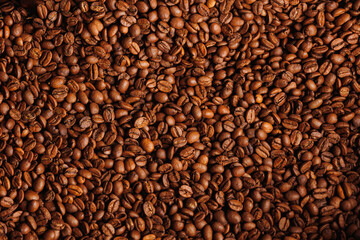 Fototapeta premium Macro background of fresh roasted brown coffee beans