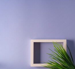 A frame on light background and a branch of plant , the concept of minimalism