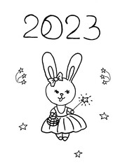 The fairy bunny is the symbol of 2023