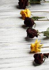 Many withered branches of roses on light wooden background with space for text