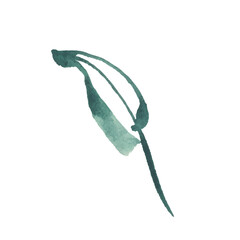 Leaf icons isolated on white background. Logo sign design. Modern brush watercolor illustration. Vector