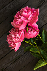 peonies flowers on wooden background