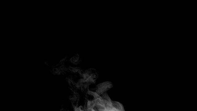White steam isolated on black. Trickle of Steam Slowly Rising from the Cup. White steam rises graceful twists on a black background. Footage is perfect for the layer with different blending modes.