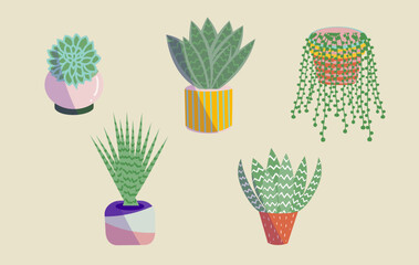 Set of succulents in colorful pots in different shapes. Flat vector illustration. 