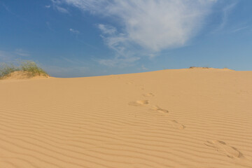 View of the Oleshkiv sands - the Ukrainian desert near the city of Kherson. Ukraine