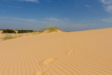 View of the Oleshkiv sands - the Ukrainian desert near the city of Kherson. Ukraine