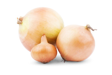 Fototapeta premium Fresh bulbs of onion on a white background